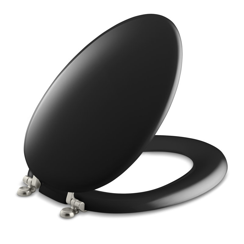 Kohler Kathryn® Elongated Toilet Seat & Reviews Wayfair